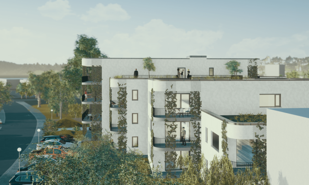 Image 12-min