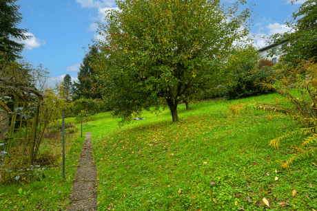 Grundstück_3
